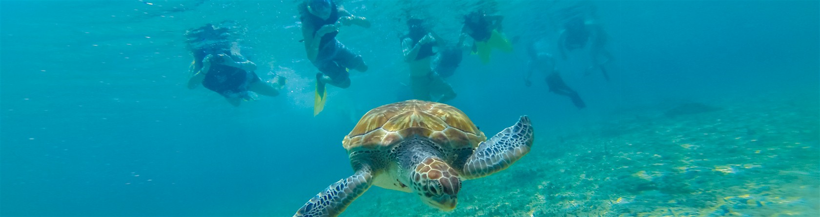 Visit Mexico with Xpotour
