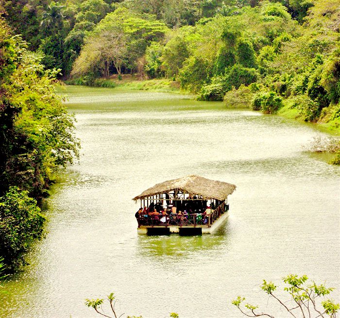 BAVARO Jungle Eco Tour