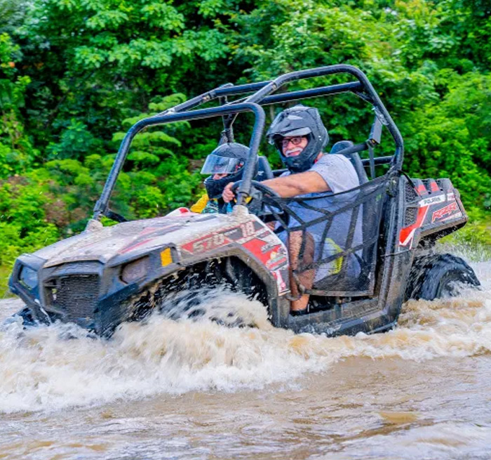 CABARETE Buggy + Monkeyland