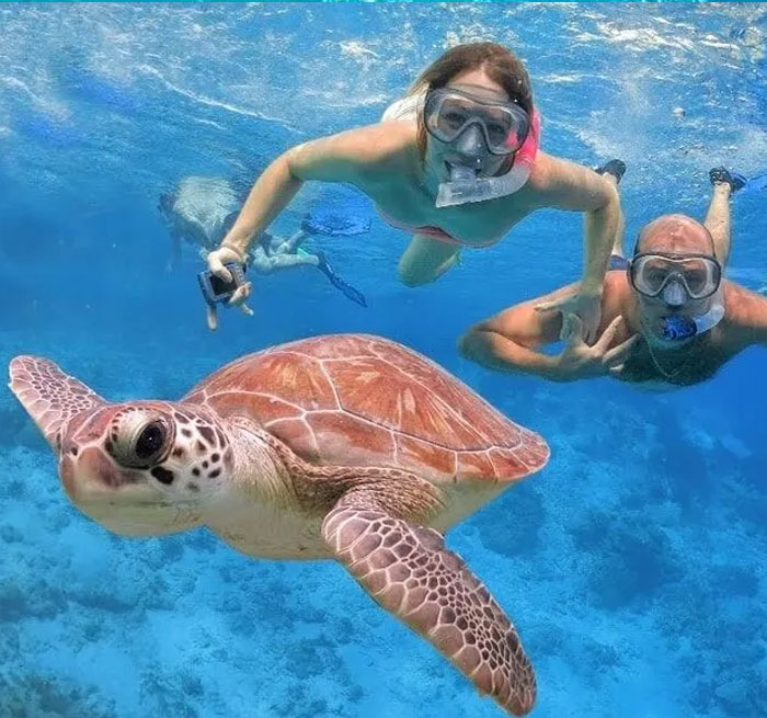 BAVARO Catalina Snorkeling