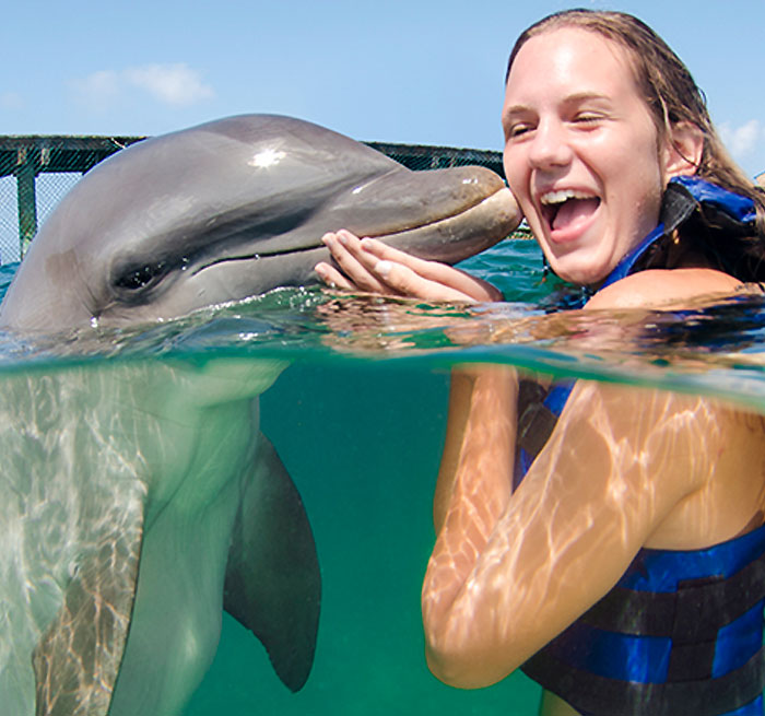 BAVARO Dolphin ENCOUNTER