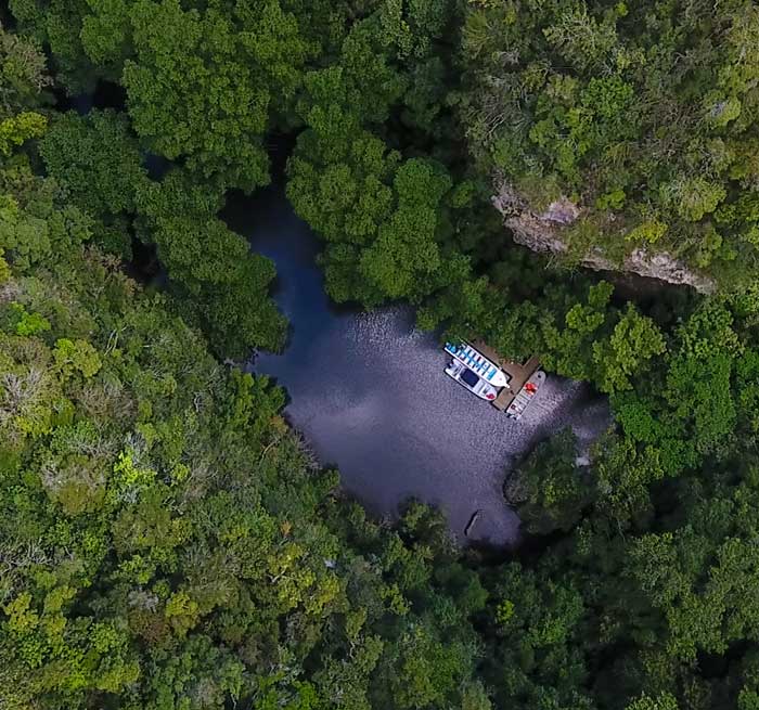 BAVARO Los Haitises National Park