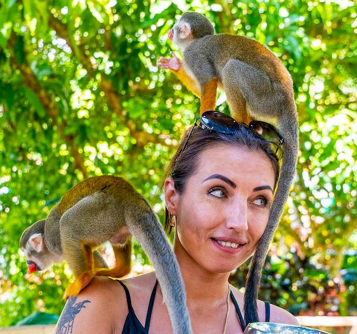 CABARETE Monkeyland